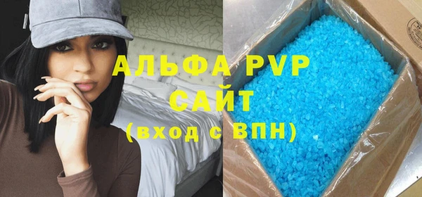 стафф Алексин