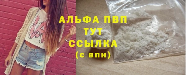 стафф Алексин